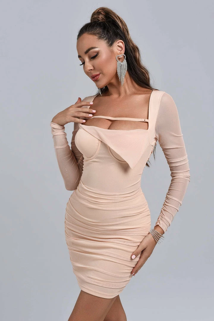 Tracking Serena Mesh Mini Dress